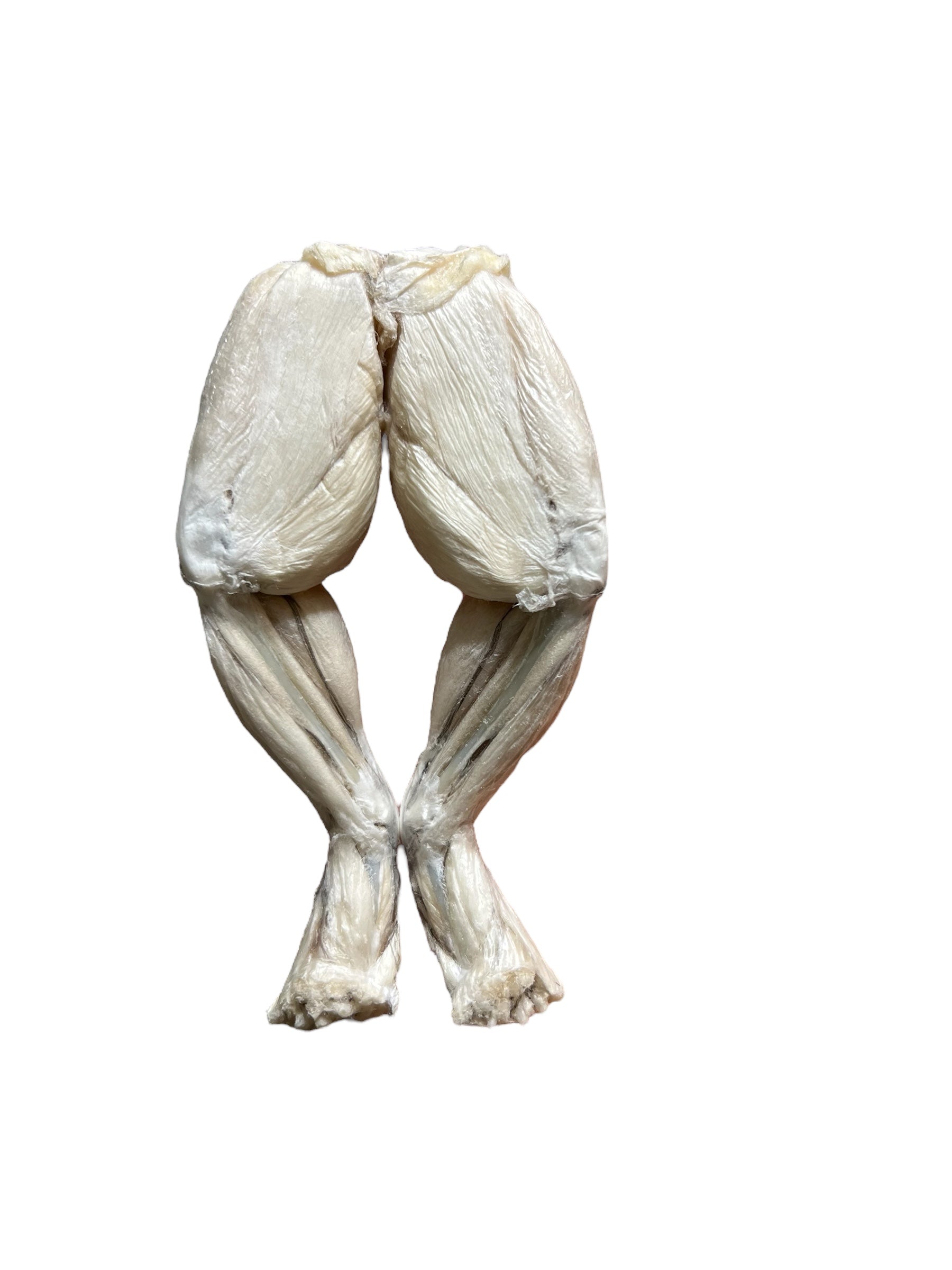 Freeze Dried Frog Legs