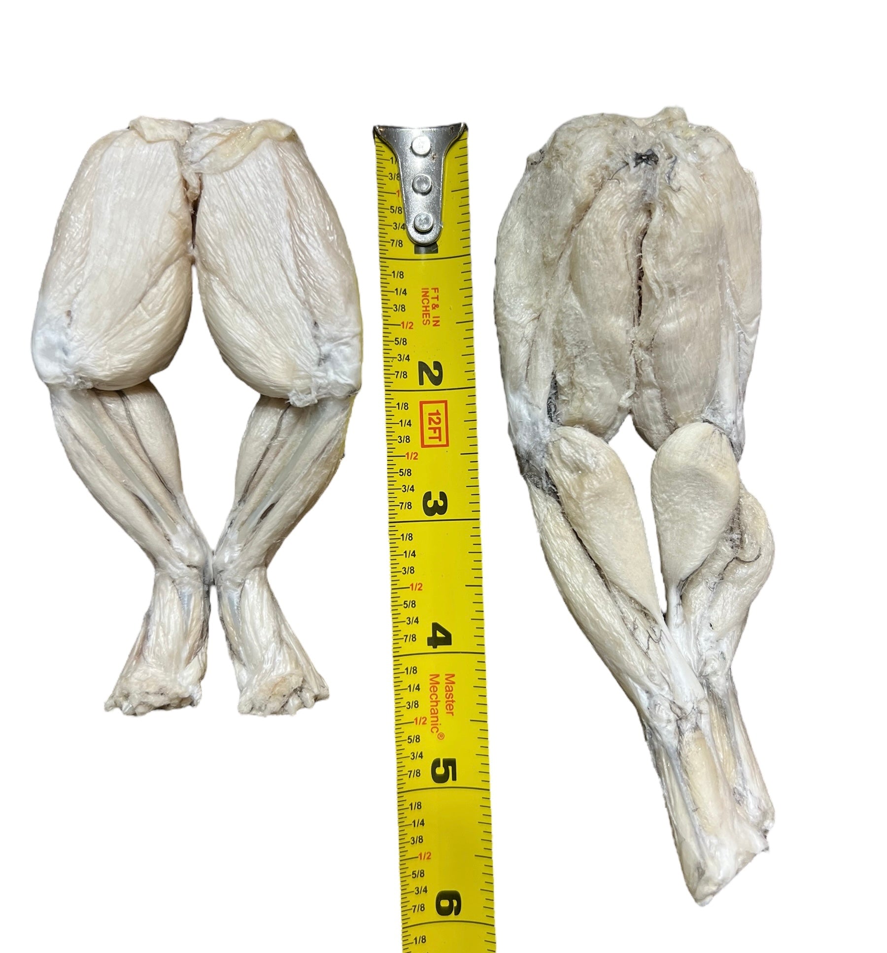 Freeze Dried Frog Legs