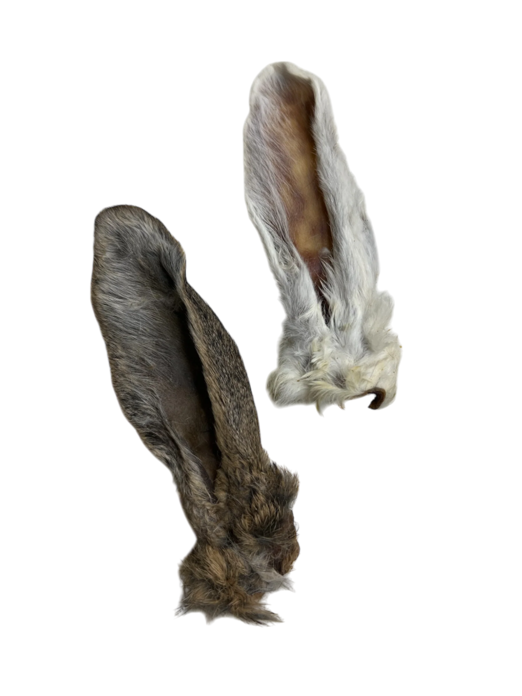 Air-Dried Rabbit Ears – Wholesome Beast