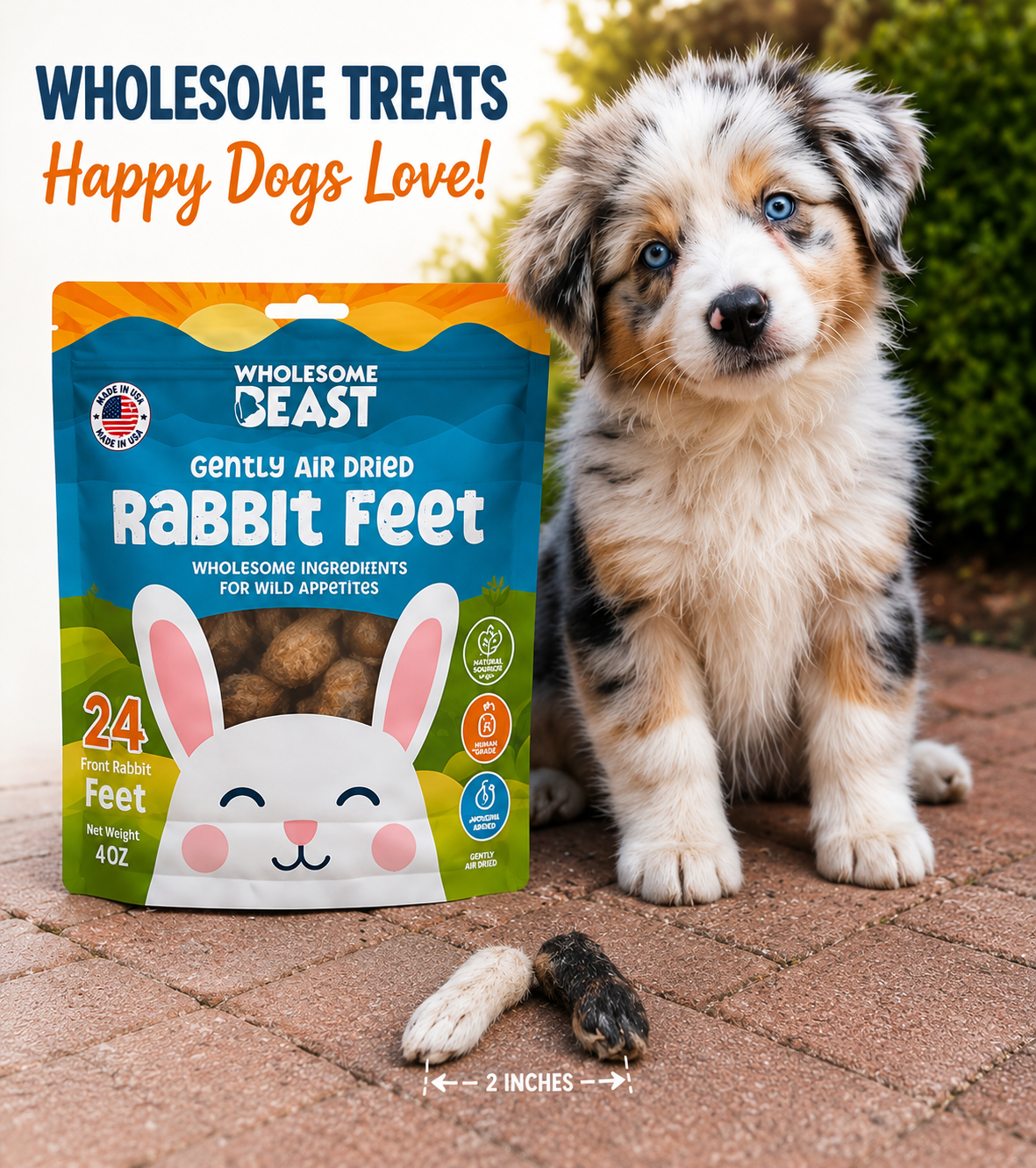 Air Dried Rabbit Front Feet