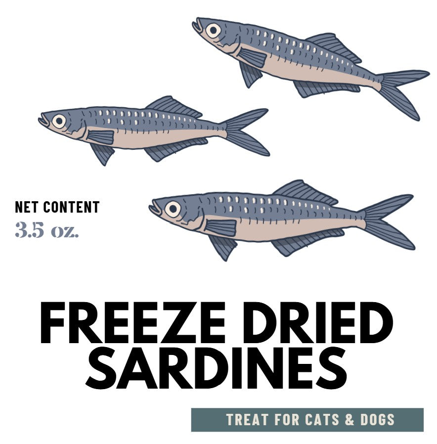 Freeze Dried Sardines