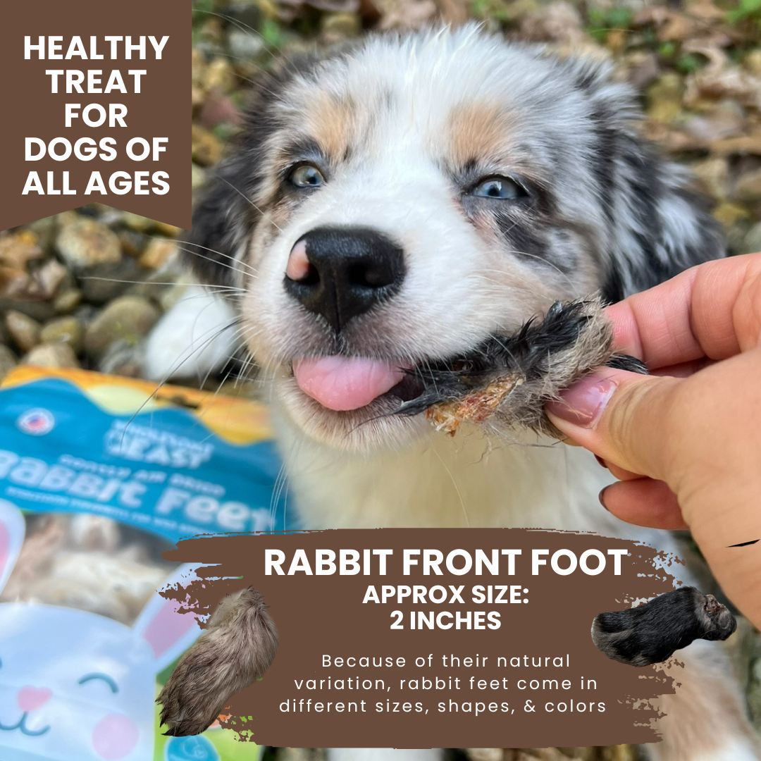 Air Dried Rabbit Front Feet – Wholesome Beast